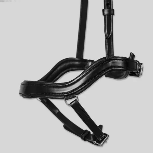 TOP-REITER_NR-SL-EK-03AbdGS5nWPC7V1