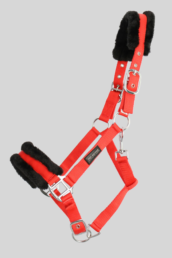 Top-Reiter-Halter-Set-Softline-4251260229588-1