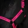 Topreiter-halter-cob-logo-pink-detail_1365x2048