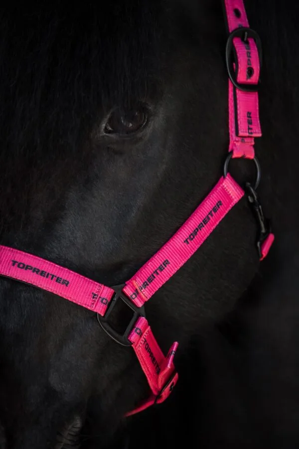 Topreiter-halter-cob-logo-pink-detail_1365x2048