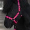 Topreiter-halter-cob-logo-pink-full_1365x2047