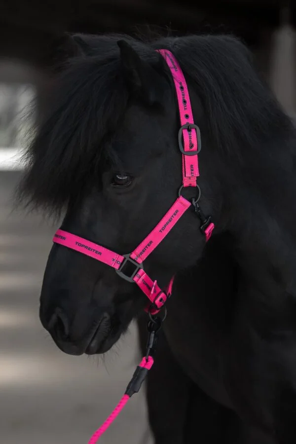 Topreiter-halter-cob-logo-pink-full_1365x2047