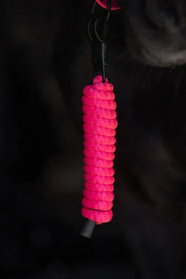 Topreiter-halter-cob-logo-pink-rope_1365x2048