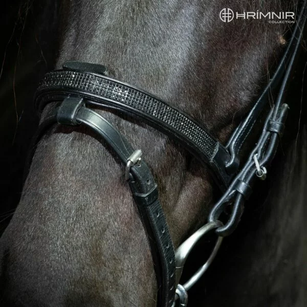 hrimnir flash_noseband_use_lava-29