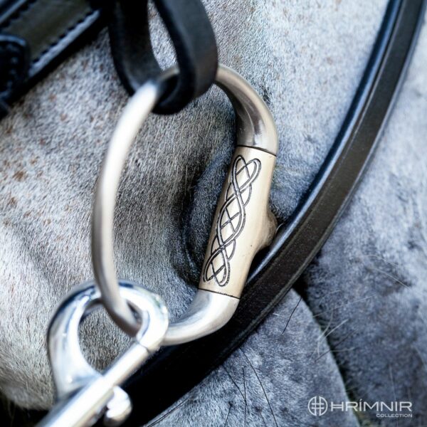 hrimnir_bit close_up_