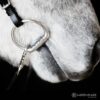 hrimnir_bitcloseup