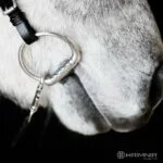 hrimnir_bitcloseup