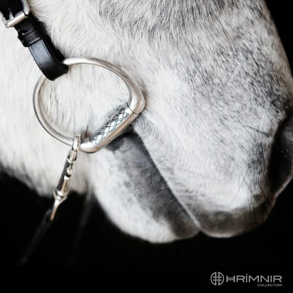hrimnir_bitcloseup