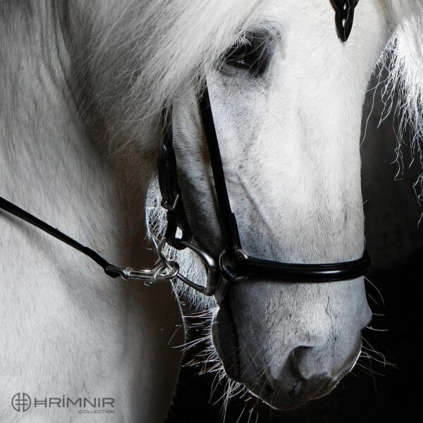 hrimnir_drop_noseband_2s