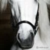 hrimnir_drop_nosebands