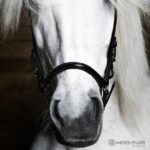 hrimnir_drop_nosebands