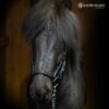 hrimnir_noseband_lava-