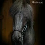 hrimnir_noseband_lava-