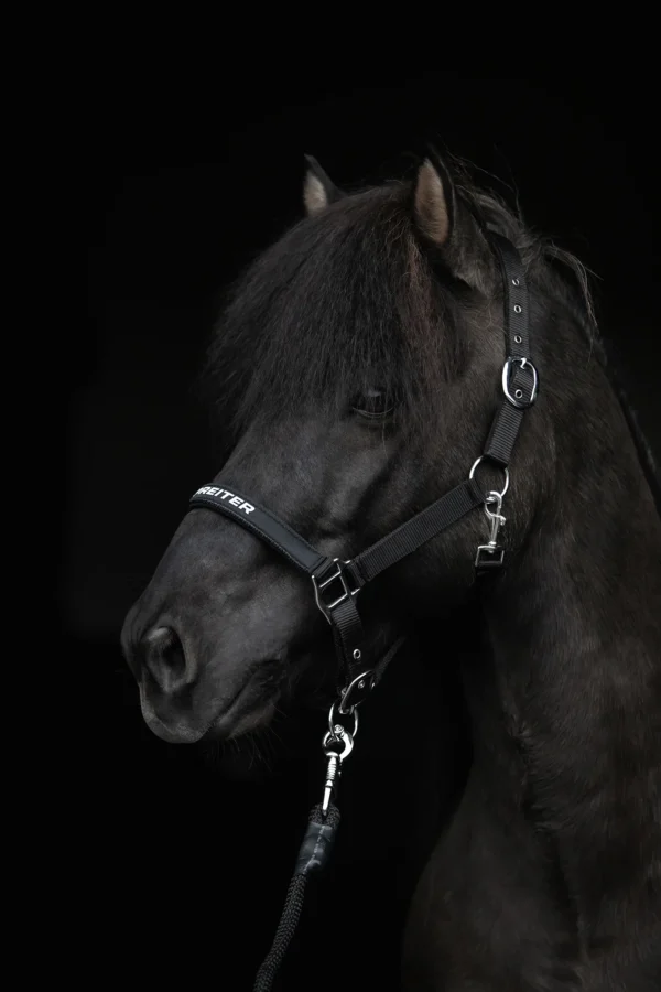 topreiter-halter-black_1365x2048