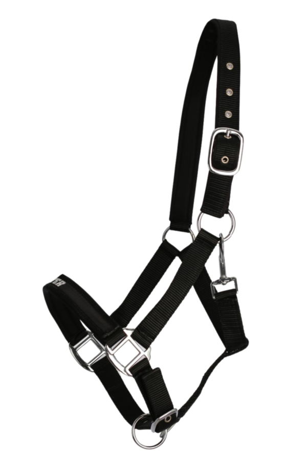 topreiter-halter-trII-black-full_1920x1920