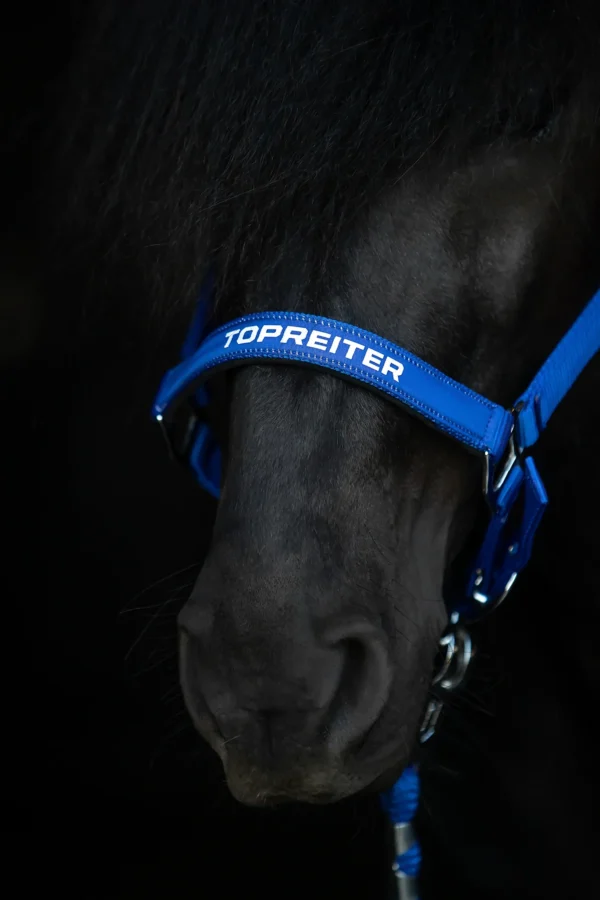 topreiter-halter-trII-blue-detail_1365x2048