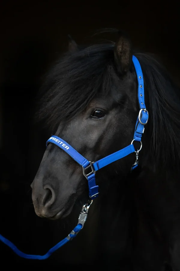 topreiter-halter-trII-blue_1365x2048