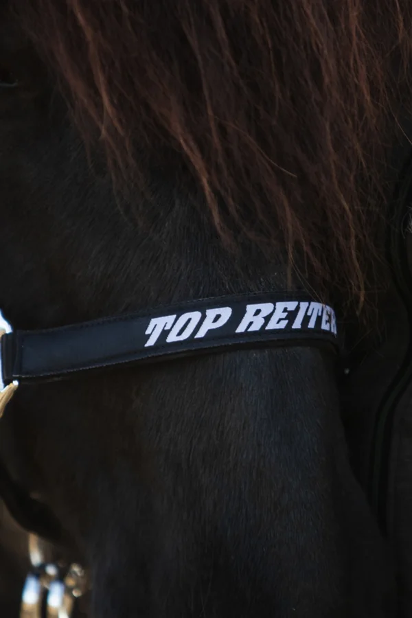 topreiter-halter-trII-detail_1920x1920