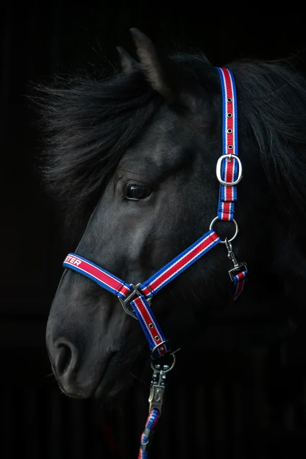 topreiter-halter-trII-iceland-full_1365x2048