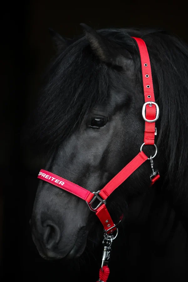 topreiter-halter-trII-red_1365x2048