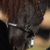 topreiter-halter-trII-side_1920x1920