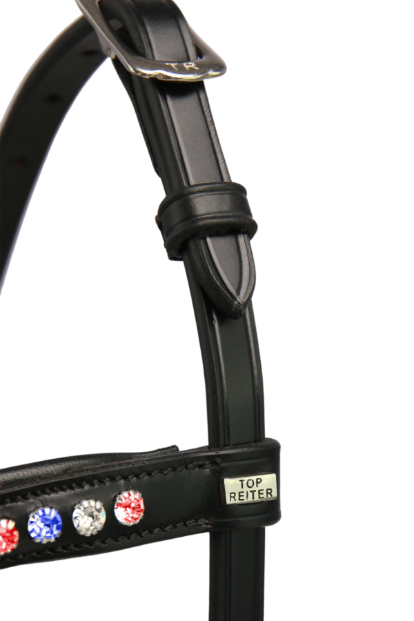 topreiter-headstall-kristall-iceland-detail_1920x1920