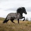 topreiter-horsewear-horse-rain-rug-leopard-action_1365x2048