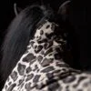 topreiter-horsewear-horse-rain-rug-leopard-neck-detail_1365x2048