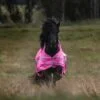 topreiter-horsewear-horse-rain-rug-pink-action-front_1365x2047
