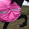 topreiter-horsewear-horse-rain-rug-pink-action-side_1365x2048