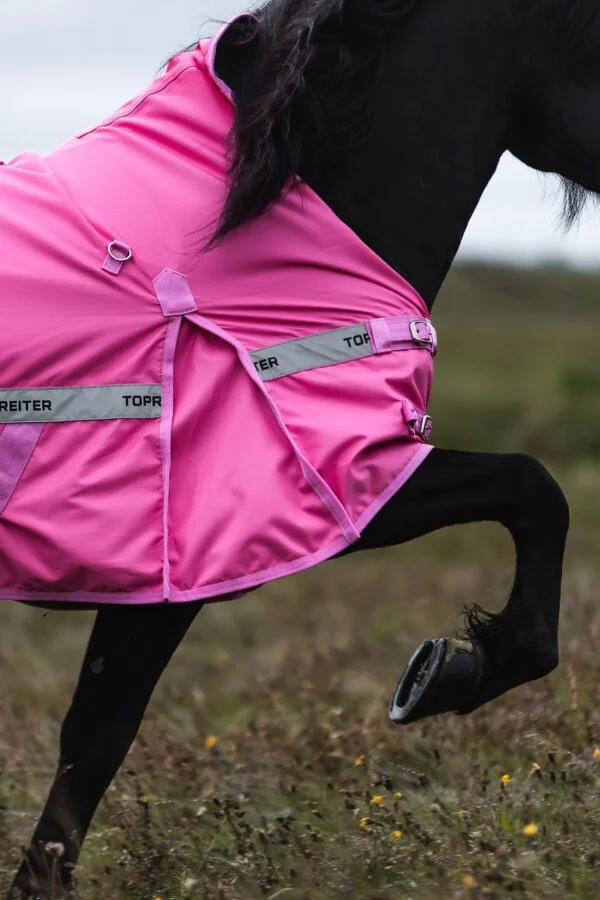 topreiter-horsewear-horse-rain-rug-pink-action-side_1365x2048