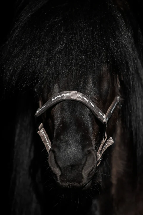 topreiter-logo-halter-truffle-front_1365x2048
