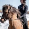 topreiter-sweatshirtjacket-bylgja-women-black_silver-horse_1920x1920