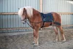 eques training system2