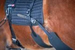 eques training system4