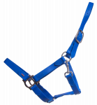 25970085-Jiwtc