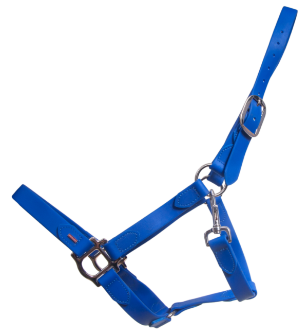 25970085-Jiwtc