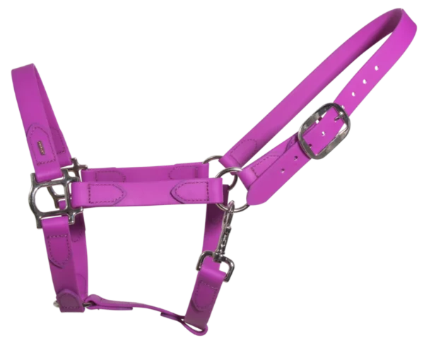 25970094-x1I4m