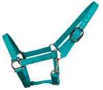 25970096-BXSek