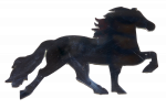 26034164-hYpKf