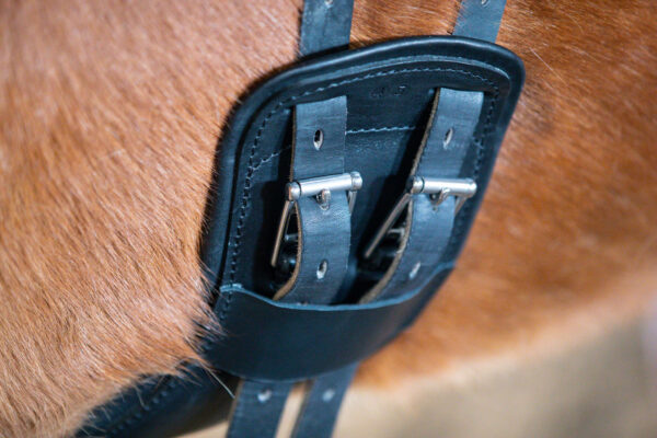 Eques_Flex-balance-girth-detail