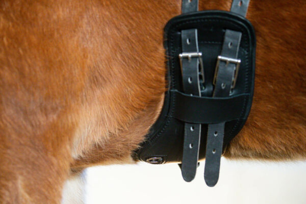 Eques_Flex-balance-girth-details2