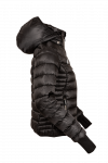 29244553-ZJTH1