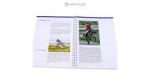 riding_level_5_-3