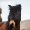 CE3I5618_600x600