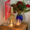 Karlslund Thermoglas med toltande hast