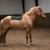 KIdka_Saddlepad_black3_onhorse