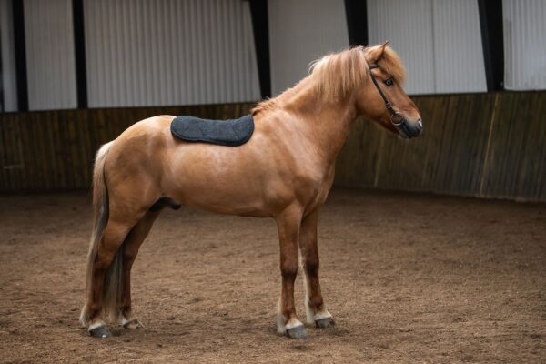 KIdka_Saddlepad_black3_onhorse