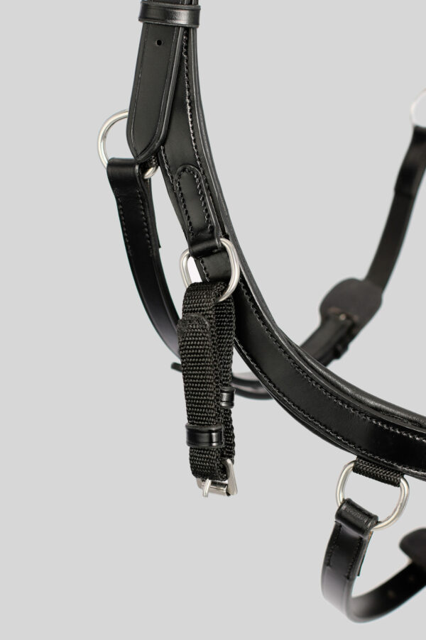 TOPREITER_Training-bridle-4251260202789-2sMoTnr9phGgdL