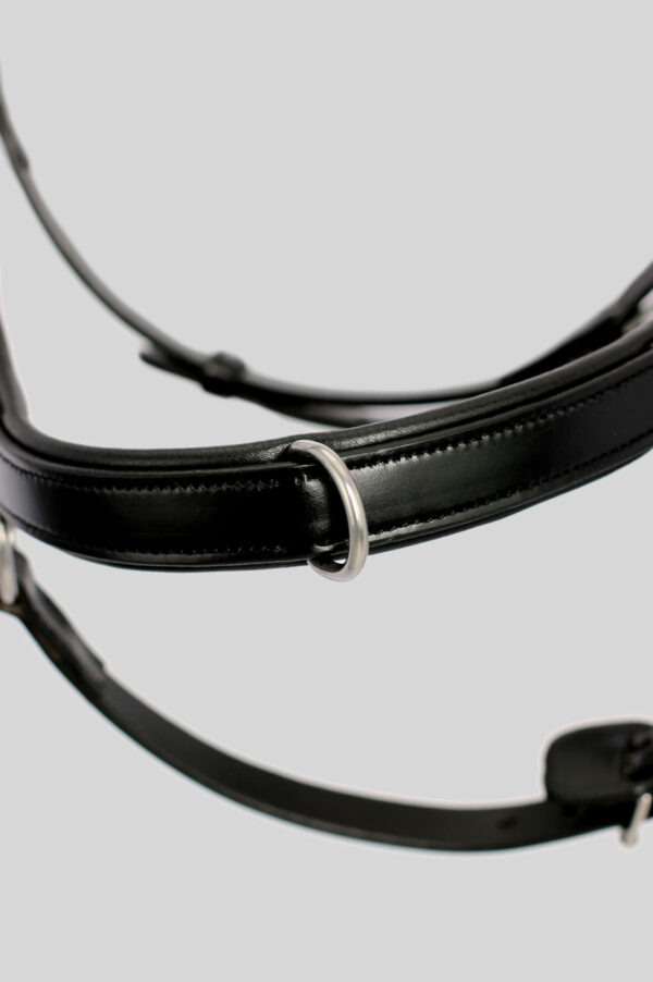 TOPREITER_Training-bridle-4251260202789-3mW3vylu5PhoOy
